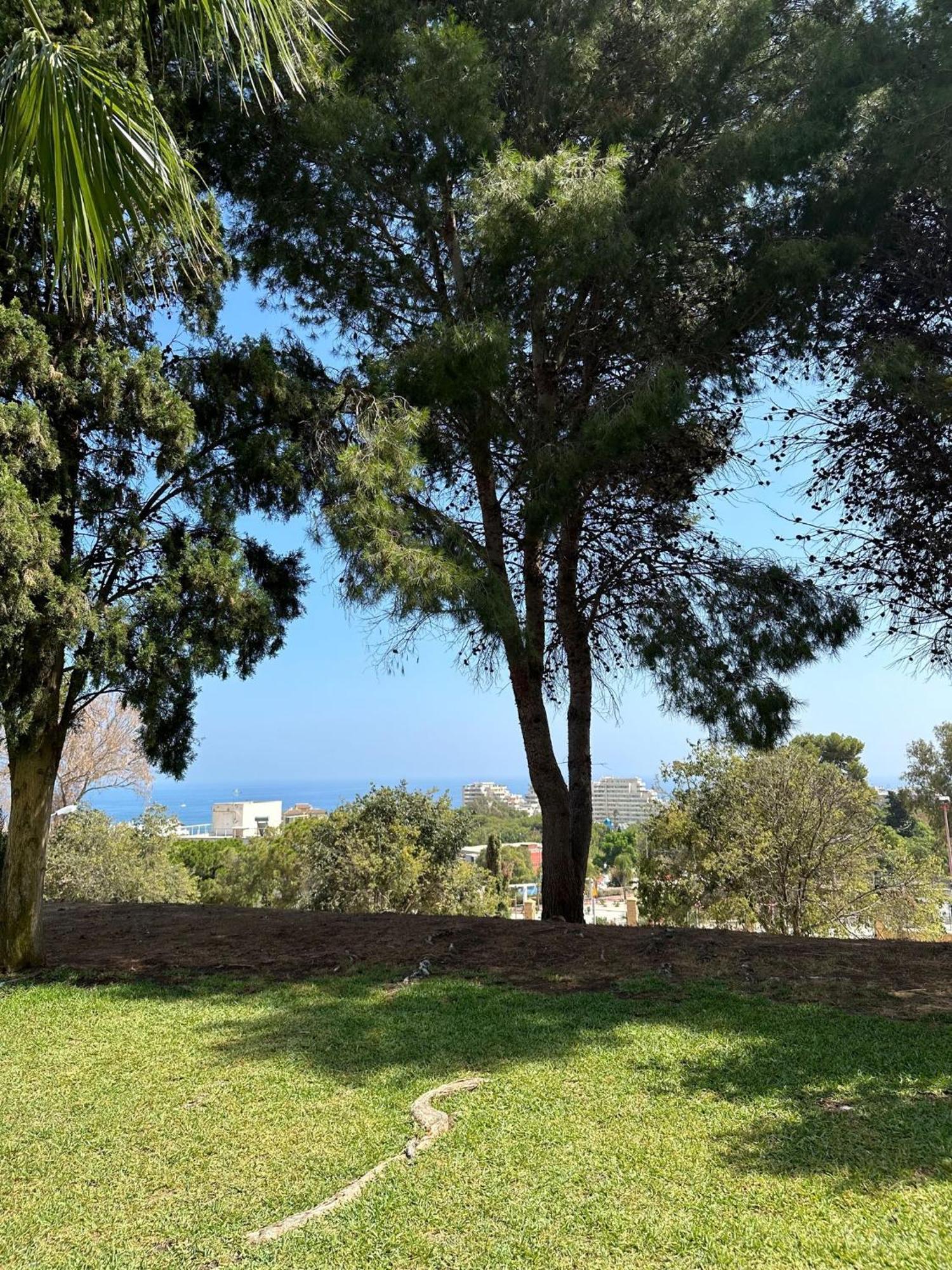 Benalmadena Gamonal Apartment Malaga Exterior photo