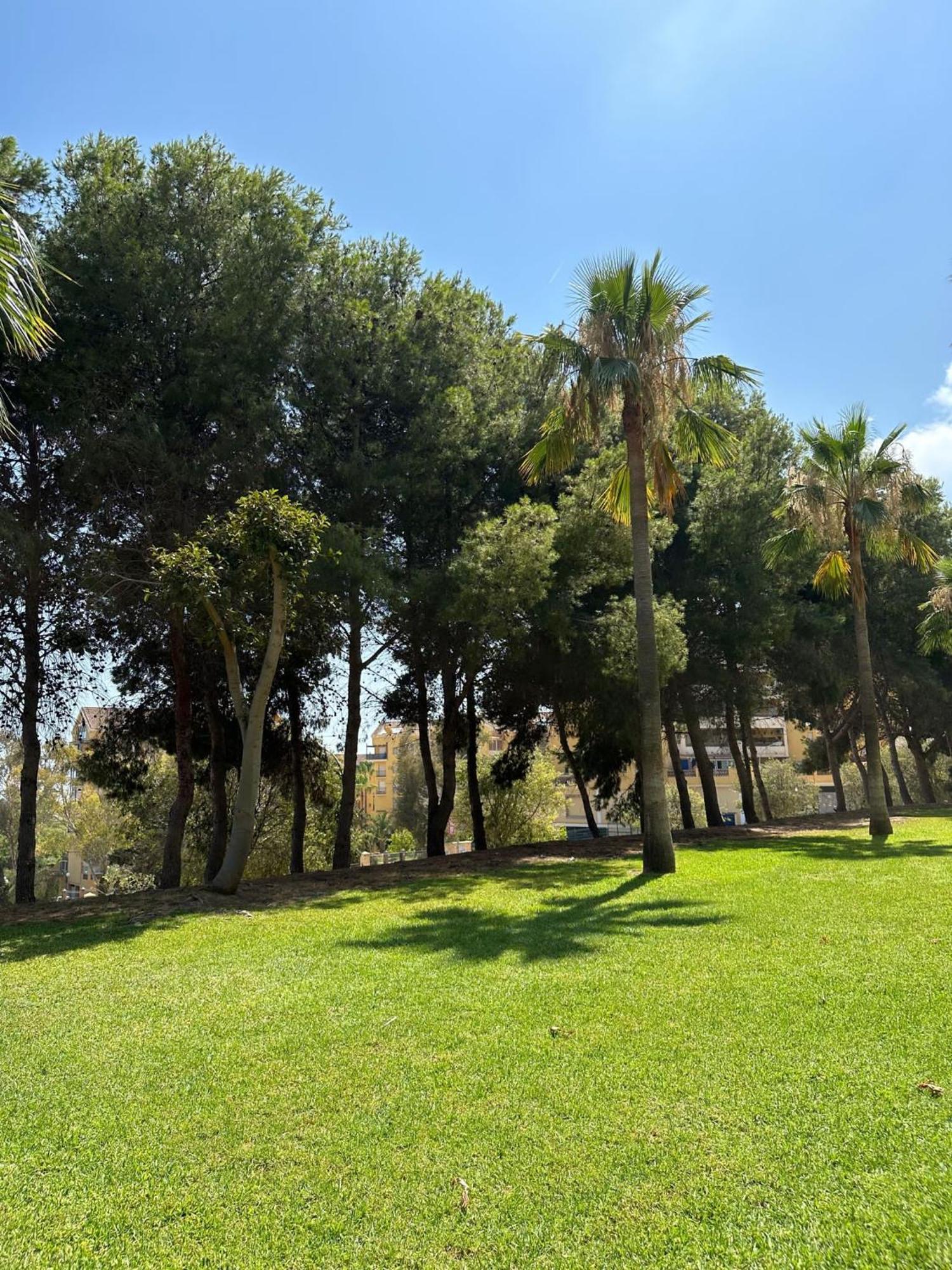 Benalmadena Gamonal Apartment Malaga Exterior photo